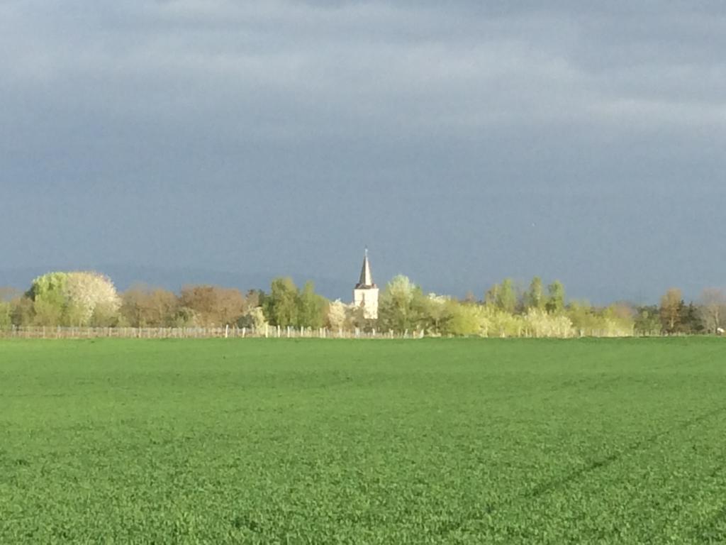 Alte Heimat Apartman Schwegenheim Kültér fotó