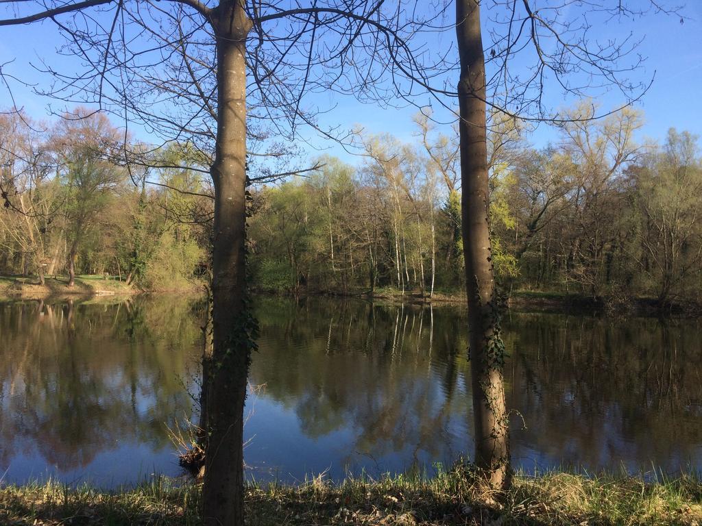 Alte Heimat Apartman Schwegenheim Kültér fotó