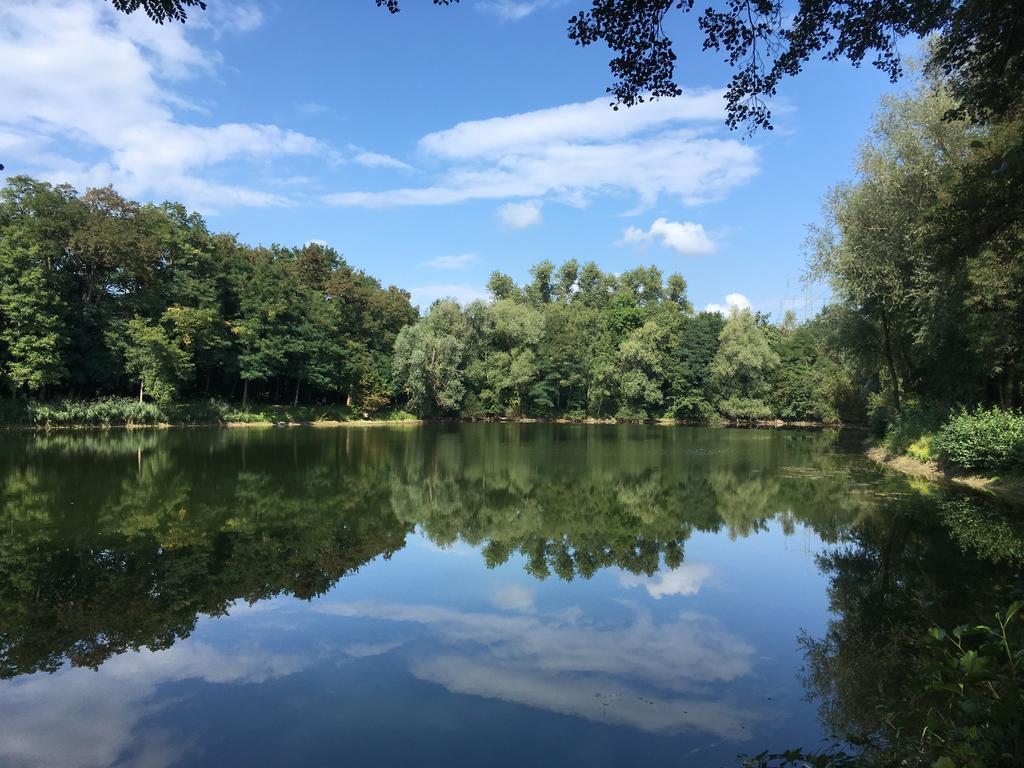 Alte Heimat Apartman Schwegenheim Kültér fotó